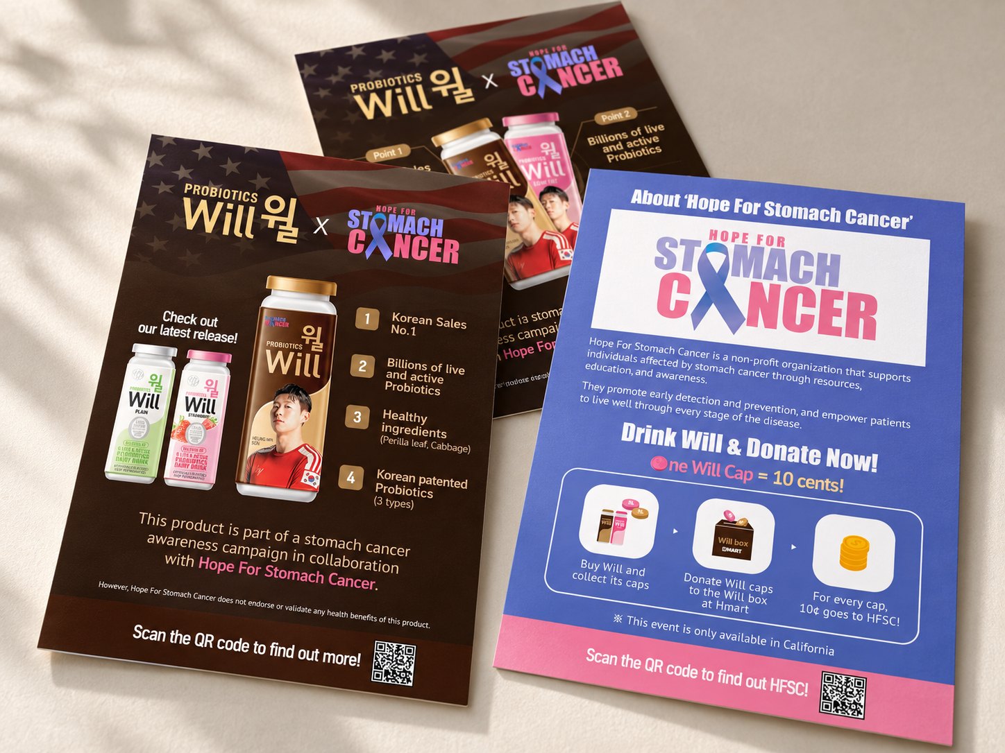 Will campaign three-leaflet mockup